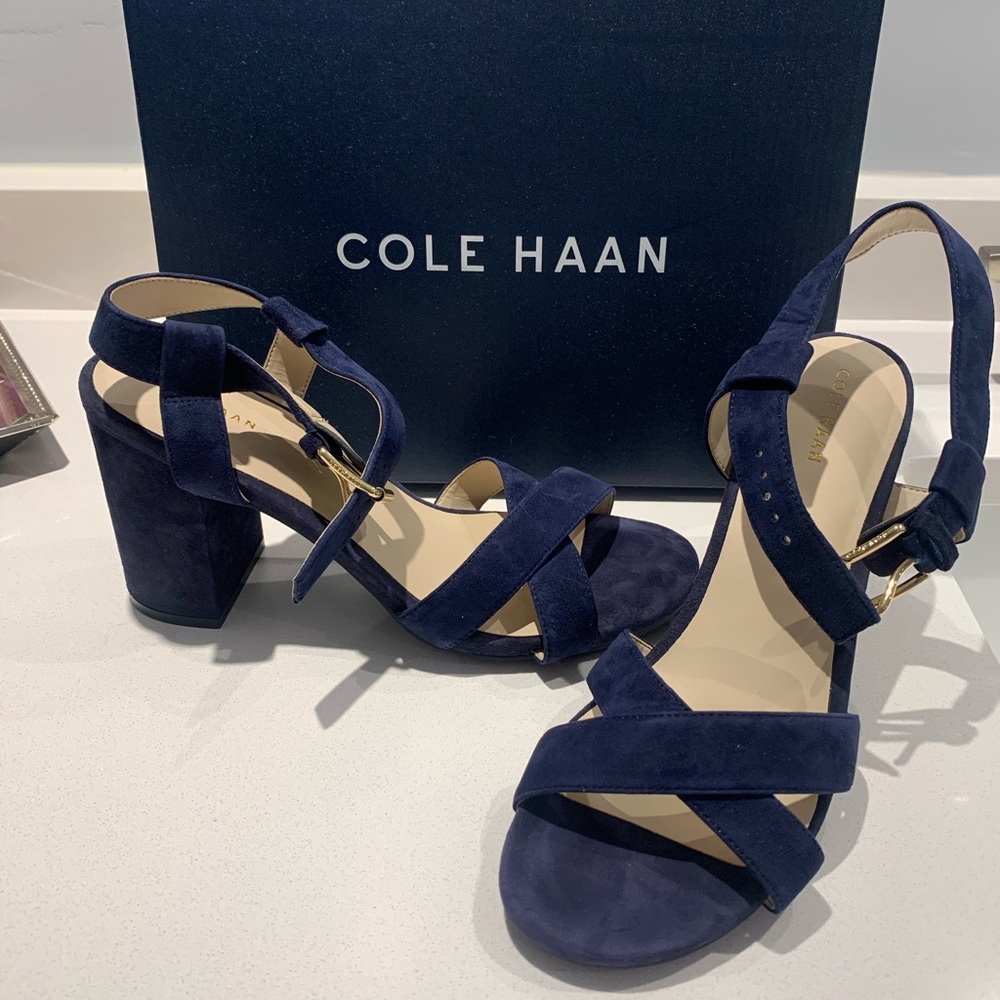 Cole Haan Kadi Sandal Marine Blue Suede